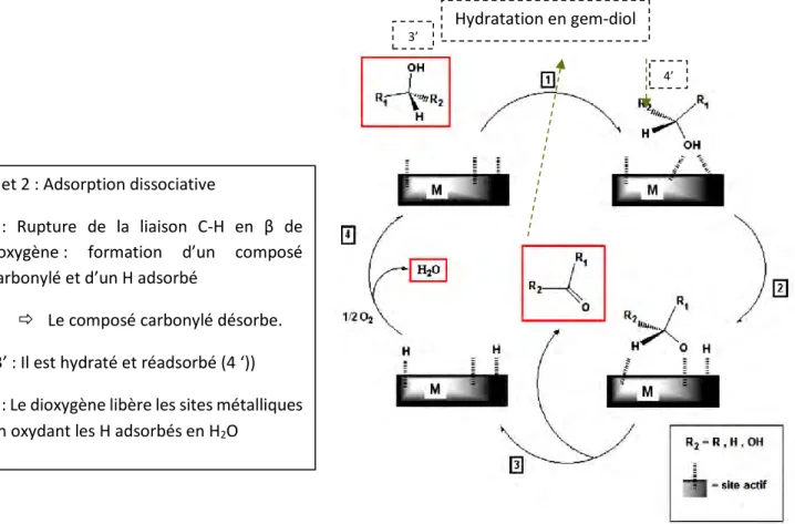 Figure 41 : Mécanisme d'oxydation général sur catalyseur métallique (Frassoldati, 2011) 1 et 2 : Adsorption dissociative 