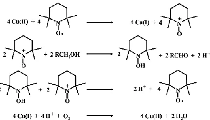 Figure 78 : Mécanisme de Semmelhack pour l’oxydation catalytique par le couple CuCl/TEMPO des alcools  (Sheldon &amp; Arends, 2006) 