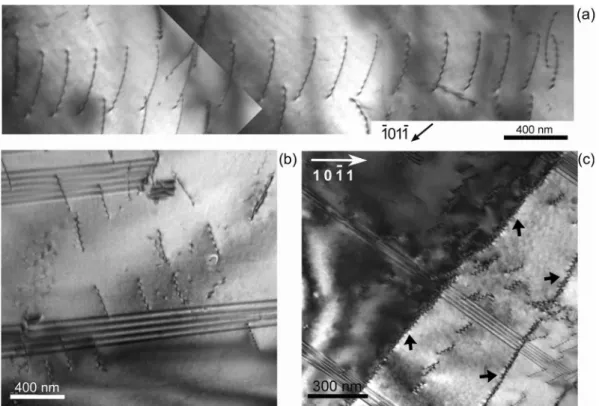 Fig. 4. Microstructure features of polycrystalline cobalt strained at 0.8% in the stage A: (a) dislocation pile-up, (b) single dislocations and (c) polygonization (polygonization walls are indicated by black arrows).