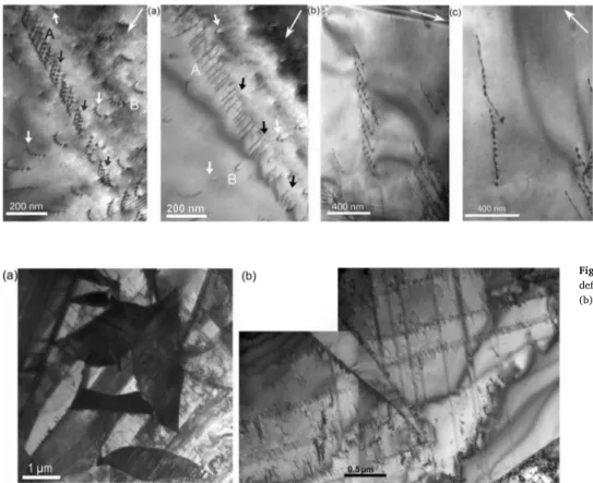 Fig. 7. General microstructure of polycrystalline cobalt deformed in the Stage B showing: (a) twins of diﬀerent sizes (b) slip bands.