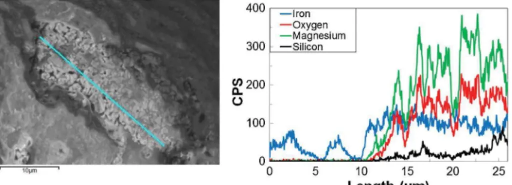 Fig. 12. Thermodynamic equilibrium of iron at 850 °C versus P H2 /P H2O ratio.