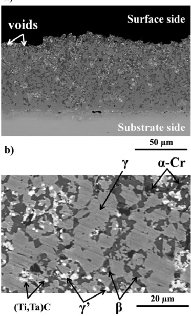 Fig. 2. “As-received” microstructure of the NiCoCrAlYTa coating illustrating the morphology and the repartition of the β, γ, γ′ phases