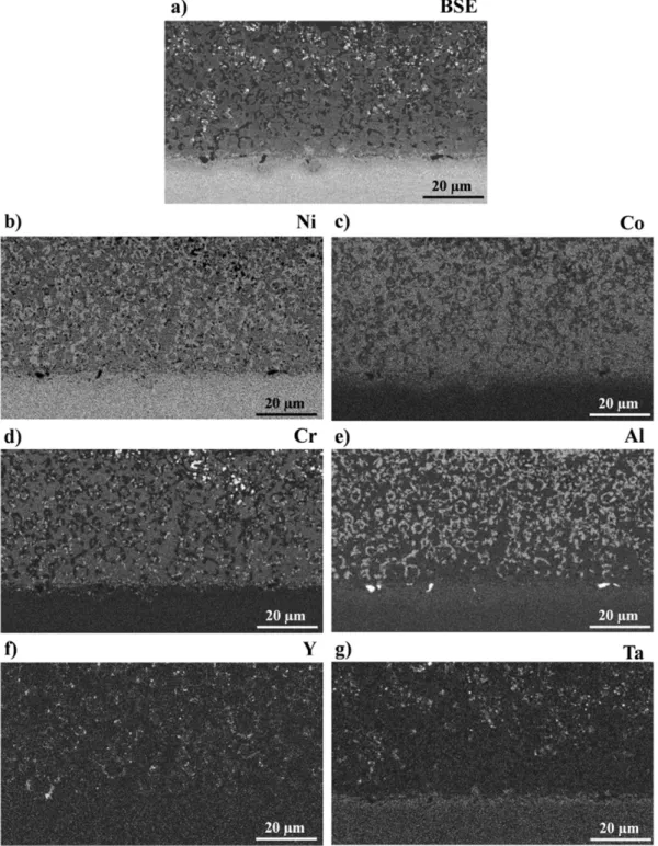 Fig. 3. Microstructure and element maps obtained via EDX analyses of the NiCoCrAlYTa Tribomet® coating: a) Cross-section observation of the coating in a backscattered electron mode