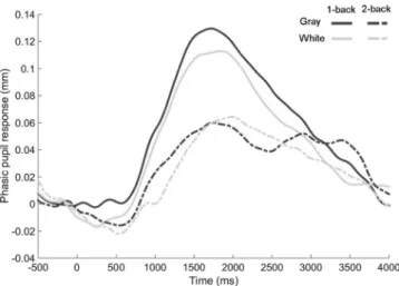 Fig. 4. Mean phasic pupil response for the low (1-back; solid lines) and high (2-back; dashed lines) working memory load in the gray and white background conditions.