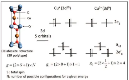 Figure 8. Spin and orbital degeneracies of Cu + and Cu 2+ in the delafossite structure.