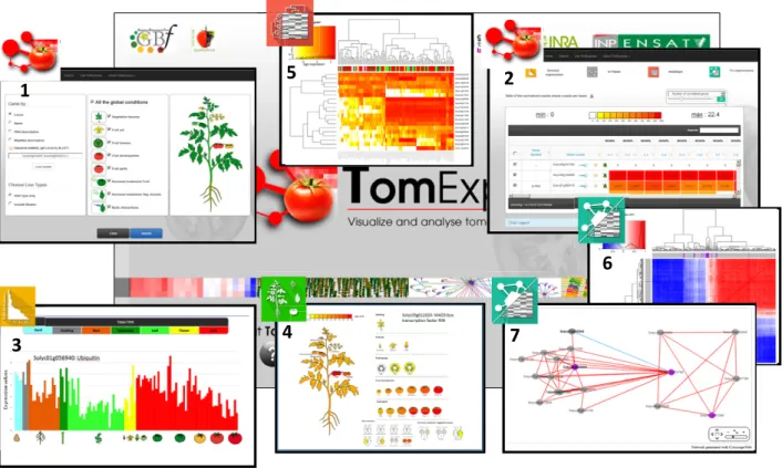 Figure 1. Screen shots of the TomExpress platform.