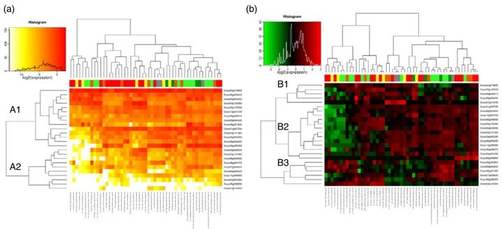 Figure 6. Heatmaps of hierarchical clustering of AuxIAA gene family expression data.