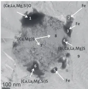 Figure 2. Graphite nucleus with an amorphous sulfide core (adapted from Theuwissen et al
