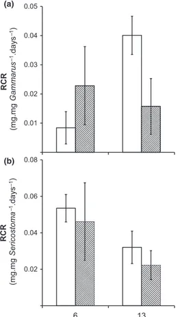 Fig. 2 Mean relative consumption rates (SD) of Gammarus (a) and Sericostoma (b) at 6 and 13 days in treatments without ( h) and with microcrustaceans ( ).