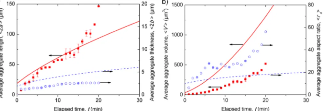 FIG. 10. Experimental and theoretical dependences of the average aggregate length and width (a), as well as of the average aggregate volume and aspect ratio (b) on the elapsed time for the magnetic field intensity H 0 = 2.75 kA/m and the initial particle v