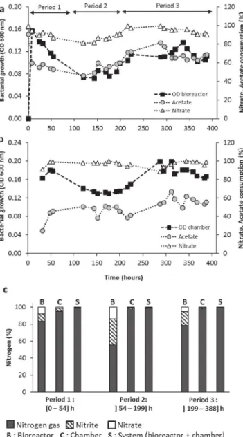 Fig. 2. Bacterial growth and evolution of acetate and nitrate consumption rates in the bioreactor (a) and in the exposure chamber (b) during the continuous culture of Hd with 100% of optimal culture medium (solution S1) at pH 10