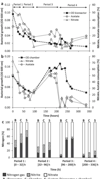 Fig. 3. Bacterial growth and evolution of acetate and nitrate consumption rates in the bioreactor (a) and in the exposure chamber (b) during the continuous culture of Hd with 10% of optimal culture medium completed by 90% of water (solution S2) at pH 10