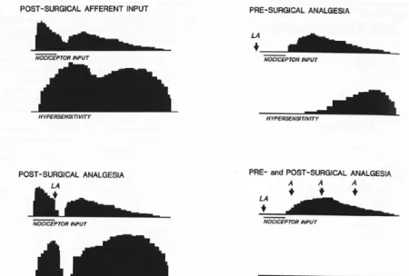 Figure 6 : Effet analgésique selon le moment de l'administration (Woolf, Chong 1993) 