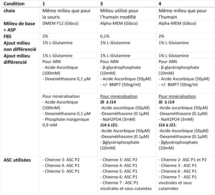 Tableau 7 : Les 3 conditions testées pour la différenciation ostéoblastique et les ASCs utilisées 