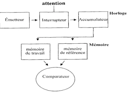 Figure 2. Le modèle d’horloge interne de Gibbon, Church, &amp; Meck ( 1984) incluant !’attention au niveau de l’horloge (adaptation de Meck, 1984).