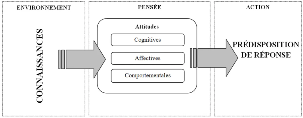 Figure 3. Concept d’attitudes 
