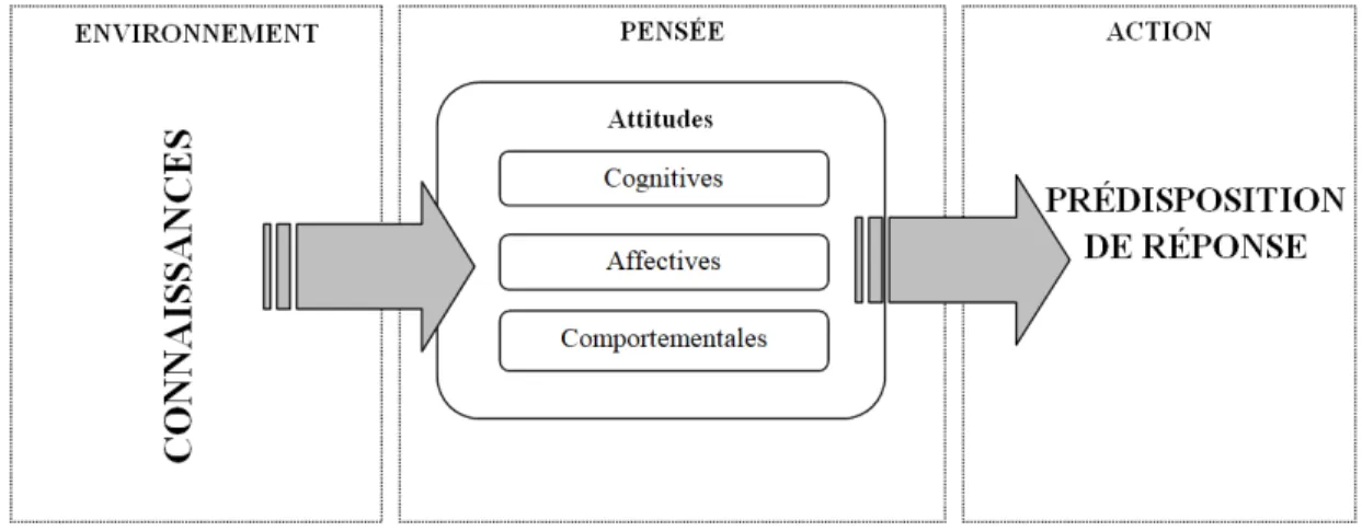 Figure 3. Concept d’attitudes 