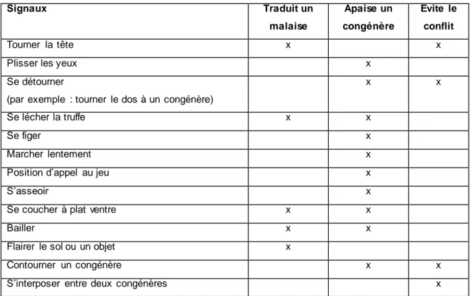 Tableau  1 : Signaux d’apaisement  les plus fréquents  et leur signification  (d’après  Rugaas 2009) 