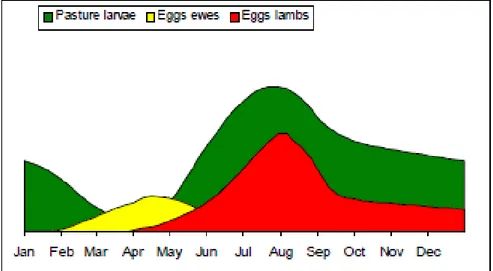 Figure 3 : Contamination des prairies par les œufs et L3 de SGI selon la période de l’année  (Abbott, Taylor, Stubbings 2012) 