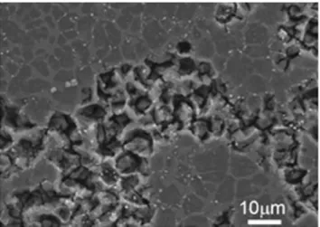 Fig. 13.  SEM micrographs ofpolished AE44 coupons during immersion test subject  ta intergranular corrosion