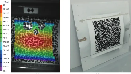 Figure 4: (a) 3D DIC of the plate during bird strike, (b) state of the plate after impact 