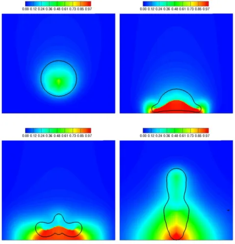 Fig. 16. Mass fraction ﬁeld and interface evolution (in black) during the impingement of a levitating droplet on a hot wall at different times (t 1 = 9 