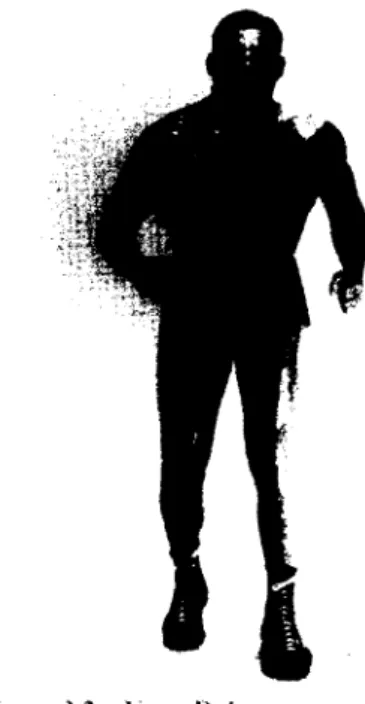 Figure 3.2 — Yvoii  Robert 