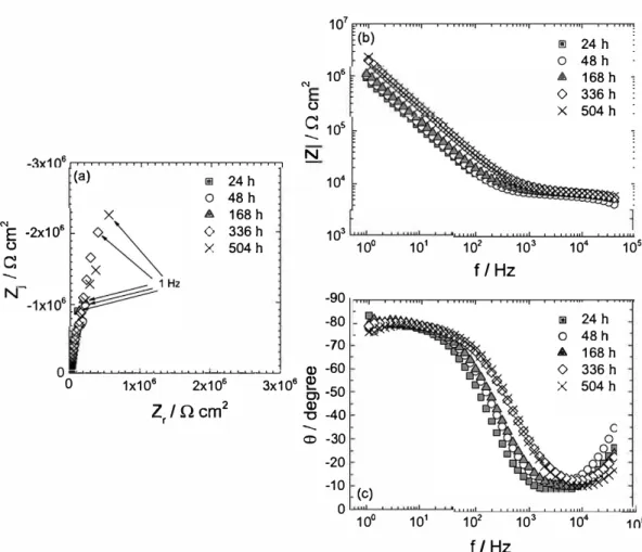 Fig. 7.  SEM im�es and EDX analysis performed on the scratched area of the NCC sample afterone month ofimmersion in 1 mM NaCI: (a) blackdepositand (b)corroded area