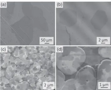 Fig. 2 shows SEM micrographs of graphene ﬂakes obtained on both Pt foils (Fig. 2a,b) and Pt thin ﬁlms (Fig