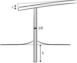 FIG. 1. Schematic representation of the experiment. The extremity of a fiber with radius R is dipped over a height h with respect to the reference level of the liquid interface while monitoring the z deflection of the cantilever.