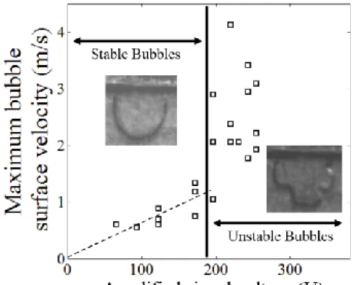 Figure  4:  maximum  bubble  surface  velocity  measured for bubbles of same size (600 µm) as  a function of the voltage supplied to the PZT  (f=4 kHz); velocities are obtained measuring  surface displacements on magnified  visualiza-tions of bubbles such 