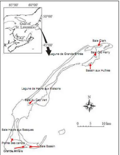 Figure  1.2  Identification  des  baies  et  lagunes  des  Îles-de-la-Madeleine  (tiré  de  Comité  ZIP des Îles-de-la-Madeleine, 2009, p
