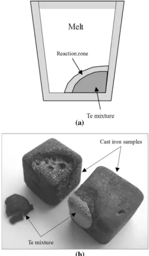 Fig.  2—Cooling  curves  recorded  with  diﬀerent  cast  iron  samples  (a),  structural   features  obtained  from  the  central  area  of  samples  treated  with  Te: Mg-free (b) and sample previously treated with Mg (c).