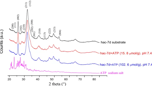 Fig. 2. XRD patterns (2 between 20 ◦ and 80 ◦ ) of the apatite substrate hac-7d before and after ATP adsorption for varying coverages, and XRD pattern for ATP (sodium salt)