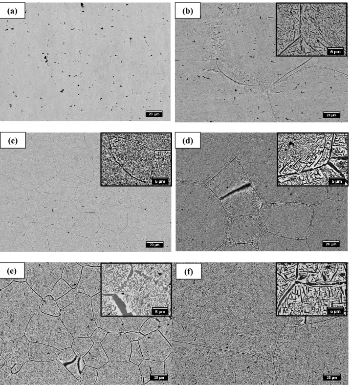 Fig  1:  Microstructure  observations  of  Ti-21S  for  the  two  types  of  specimen  used:  as-received  solution  treatment  (left  column)  and  precipitation  treatment  (right  column)