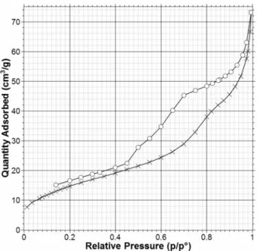 Figure 6. Nitrogen sorption isotherm of 1-SC at 77 K after activation by flowing SC-CO 2 [adsorption ( ⫻) and desorption (O)].
