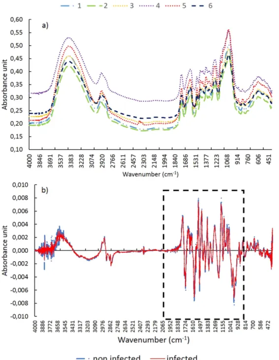 Fig. 3. Average raw (a) and ﬁrst-derivative (b) MIR spectra of infected and noninfected wood
