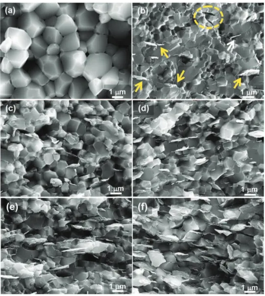 Fig. 2. FEG-SEM micrographs of fracture surfaces of (a) monolithic Al 2 O 3 and of nanocomposites with GPLs contents of (b) 3 vol.%, (c) 5 vol.%, (d) 7 vol.%, (e) 10 vol.% and (f) 15 vol.%