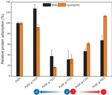 Fig. 7. Effect of surface modiﬁcation of PVDF membranes and surface charge-bias on resistance to nanofouling by BSA and lysozyme proteins.