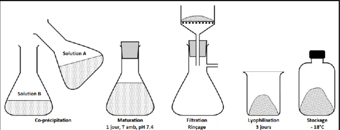 Figure 11. Représentation schématique du protocole de synthèse d'une apatite nanocristalline biomimétique  carbonatée BNAc 