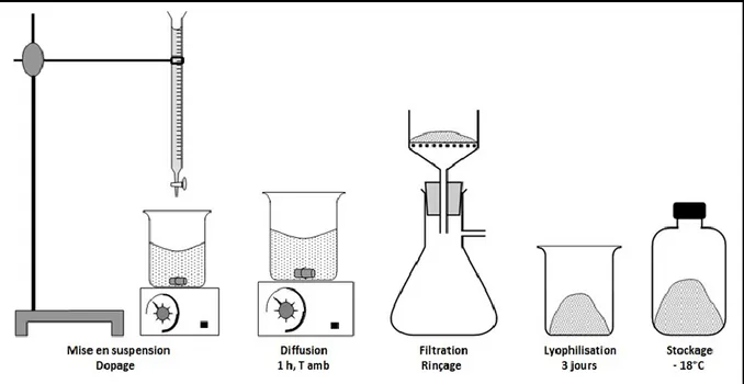 Figure 12. Représentation schématique du protocole de synthèse d'une apatite nanocristalline biomimétique  carbonatée et dopée en argent AgBNAc 