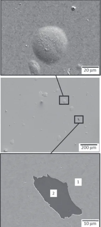 Fig. 8. Ti/Pt/Au surface micrographs obtained by SEM observations at different magniﬁcations
