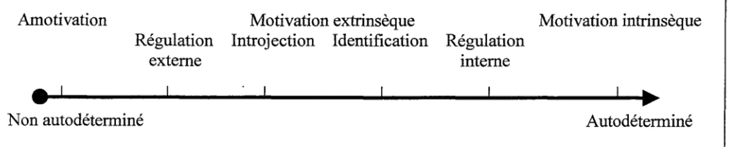 Figure 1. Le continuum d’autodétermination.