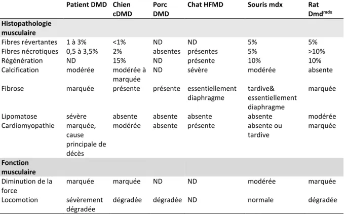 Tableau  3 :  Comparaison  des  caractéristiques  pathologiques  et  fonctionnelles  entre  les  patients  et  les modèles animaux de la myopathie de Duchenne, [28]
