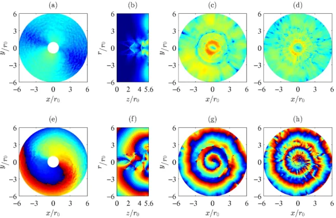 Figure 7. Amplitude (top) and phase (bottom) fields obtained for JetL5 at the dominant tone frequency St 2 = 0.415; from pressure (a,e) at z = 0, (b,f ) at θ = 0 and (c,g) at z = L; from density (d,h) at z = L.