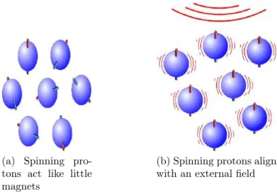 Figure 2.2: Representation of the status of the spinning protons without and with applied magnetic filed (Berger, 2002).