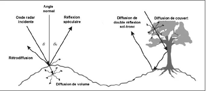 Figure 2.1 Les différents mécanismes de diffusion, modifiée de Kornelson et Coulibaly [2013]  Le signal rétrodiffusé peut être relié au signal incident à l’aide de la matrice de diffusion [S]  (équation (2.1) : 