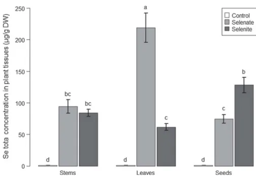 Fig. 4 Se total concentrations (lg g -1 DW) measured in different aerial maize compartments (stems, leaves, and seeds) for two species: selenite and selenate added in the hydroponic solution at 1 mg L -1 and controls