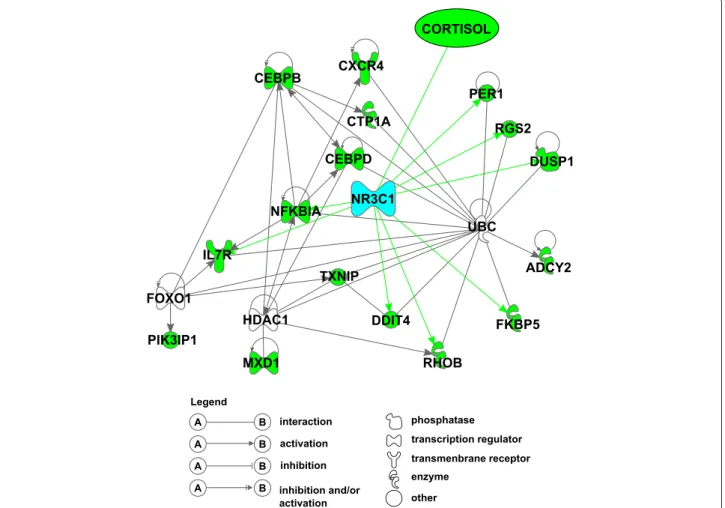 Fig. 7 Gene network related to glucocorticoid response in whole blood transcriptome 1 h after ACTH injection This network corresponds to the genes up-regulated 1 h after ACTH injection (cluster 1, green nodes)