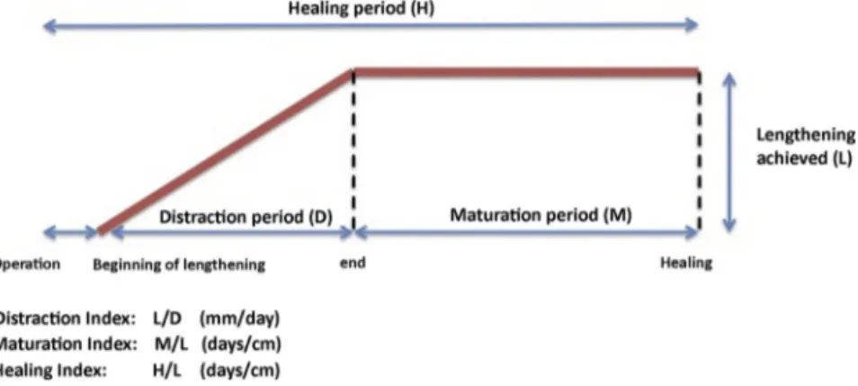 Fig. 1. Different stages in the lengthening procedures and calculation of their indices.